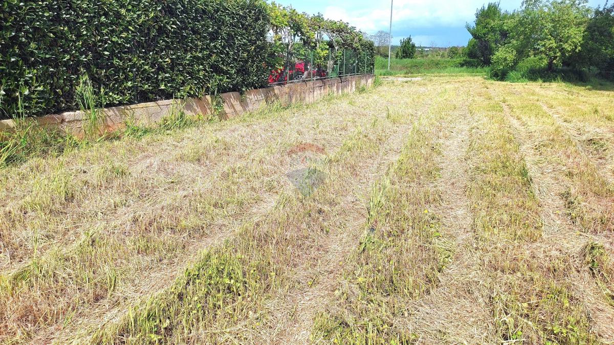Terreno edificabile Umag, 442m2