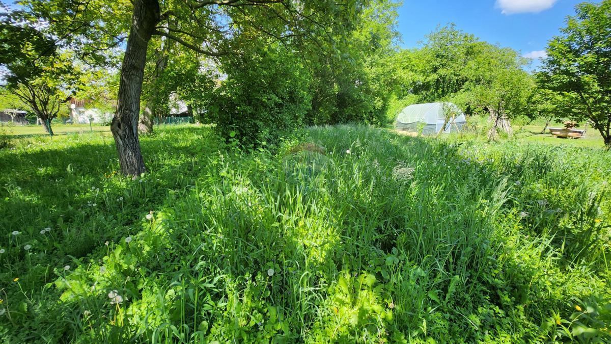 Terreno edificabile Trnje, 1.036m2