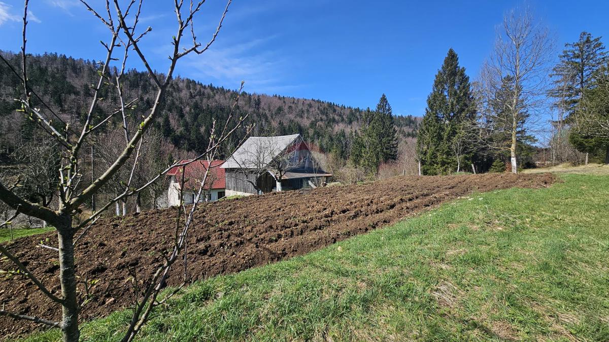 Casa Prezid, Čabar, 3.285m2