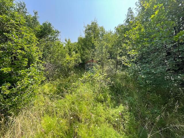 Terreno edificabile Vrbnik, 877m2