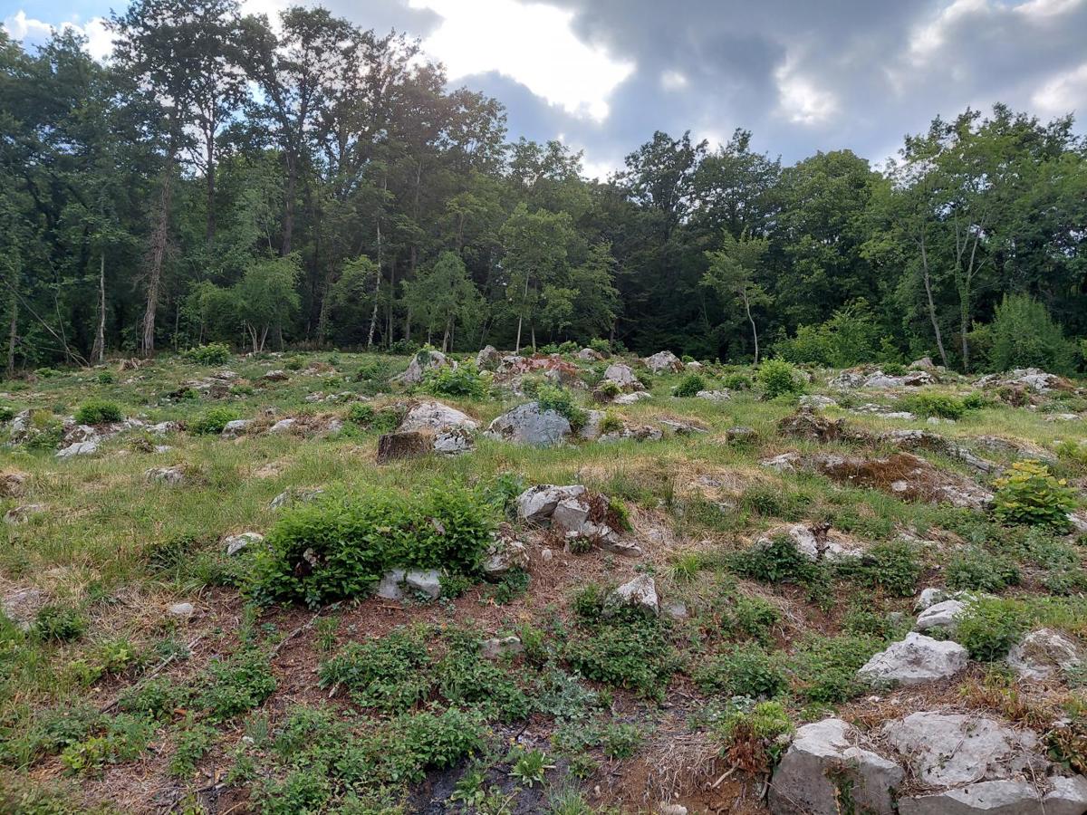 Terreno edificabile Rukavac, Matulji, 2.205m2