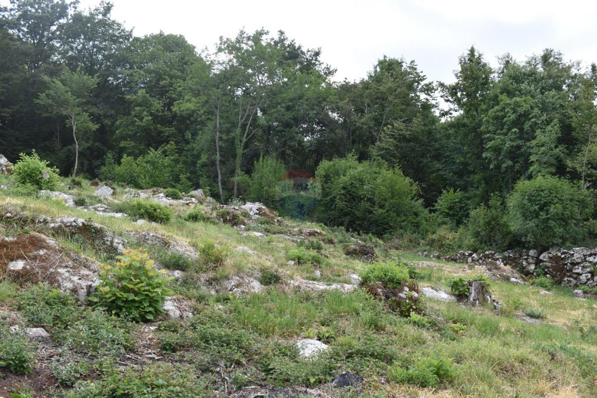 Terreno edificabile Rukavac, Matulji, 2.205m2