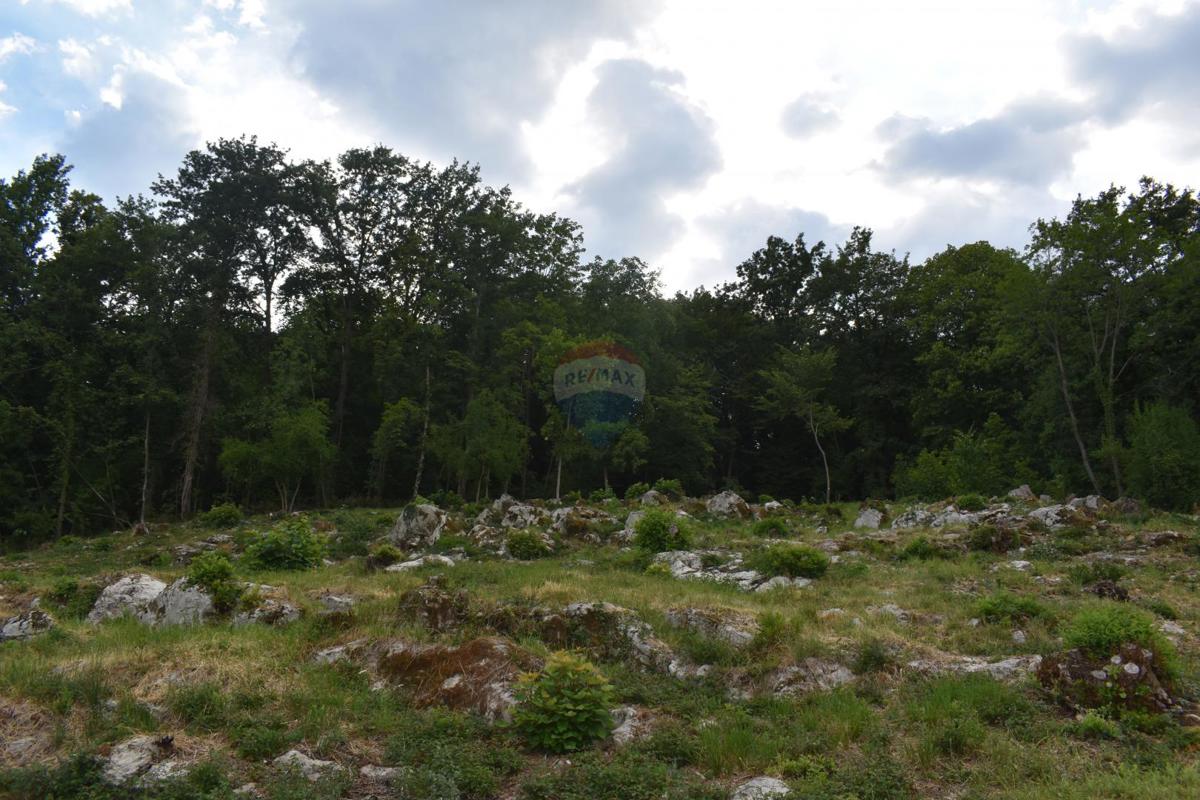 Terreno edificabile Rukavac, Matulji, 2.205m2