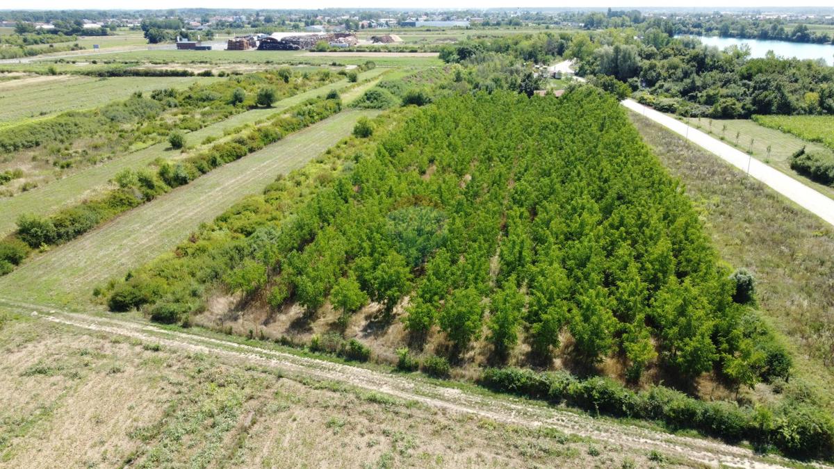 Terreno non edificabile Vukovina, Velika Gorica - Okolica, 8.925m2