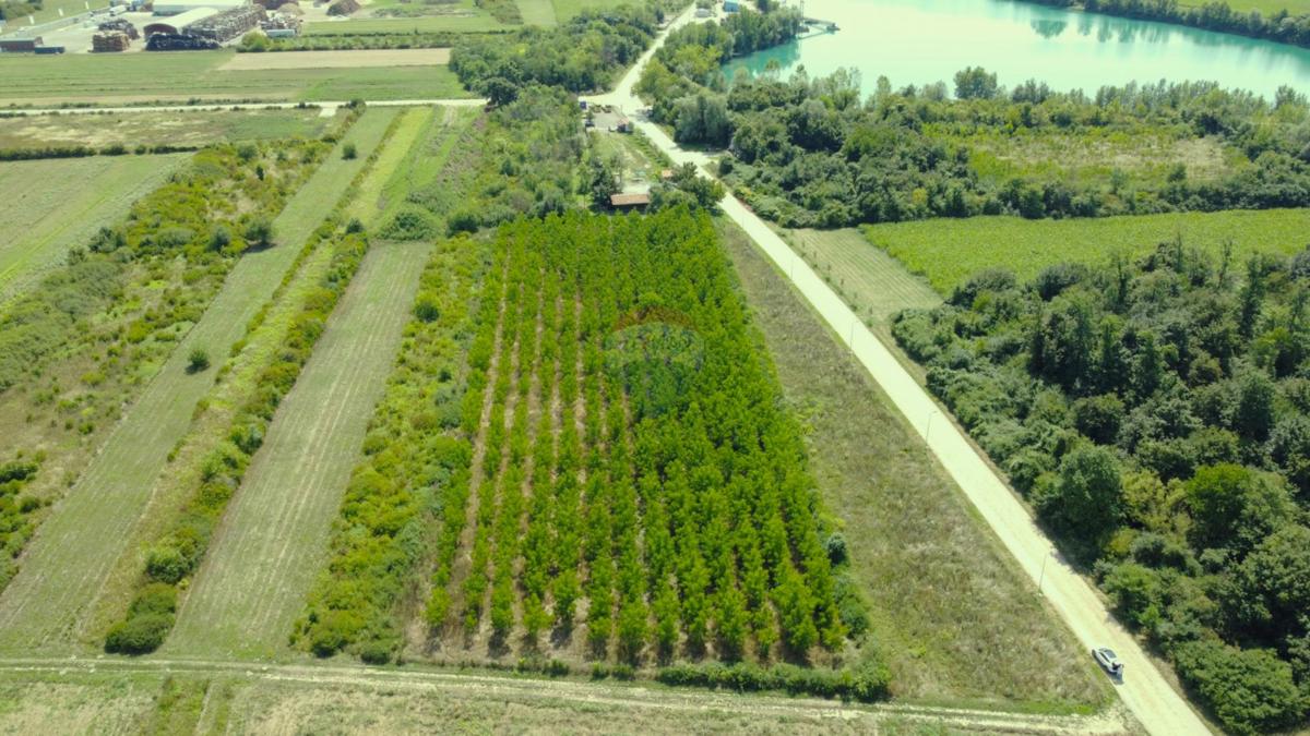 Terreno non edificabile Vukovina, Velika Gorica - Okolica, 8.925m2