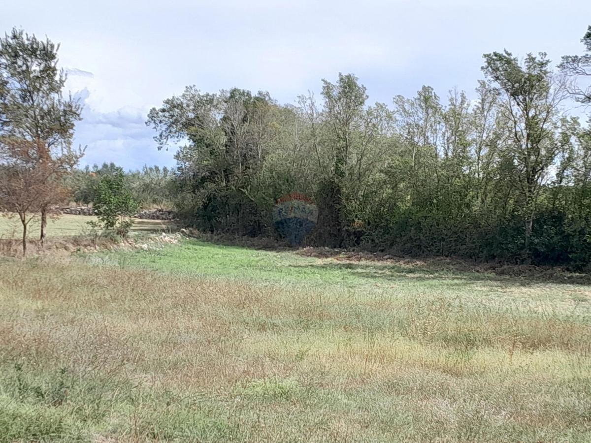 Terreno edificabile Loborika, Marčana, 1.024m2