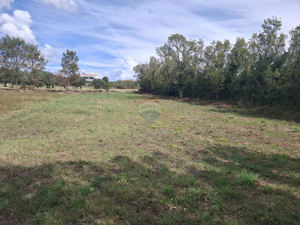 Terreno edificabile Loborika, Marčana, 1.024m2