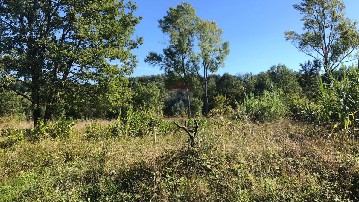 Terreno edificabile Vižinada, 895m2