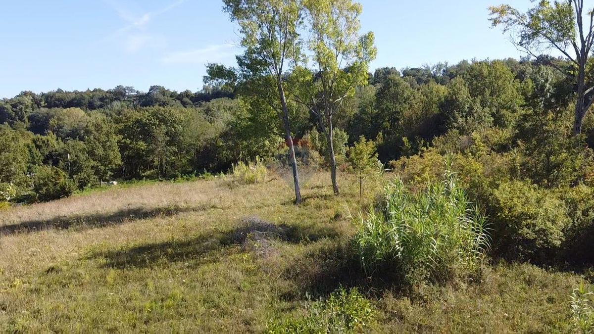 Terreno edificabile Vižinada, 895m2