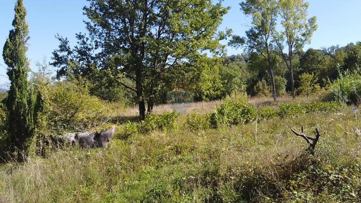 Terreno edificabile Vižinada, 895m2