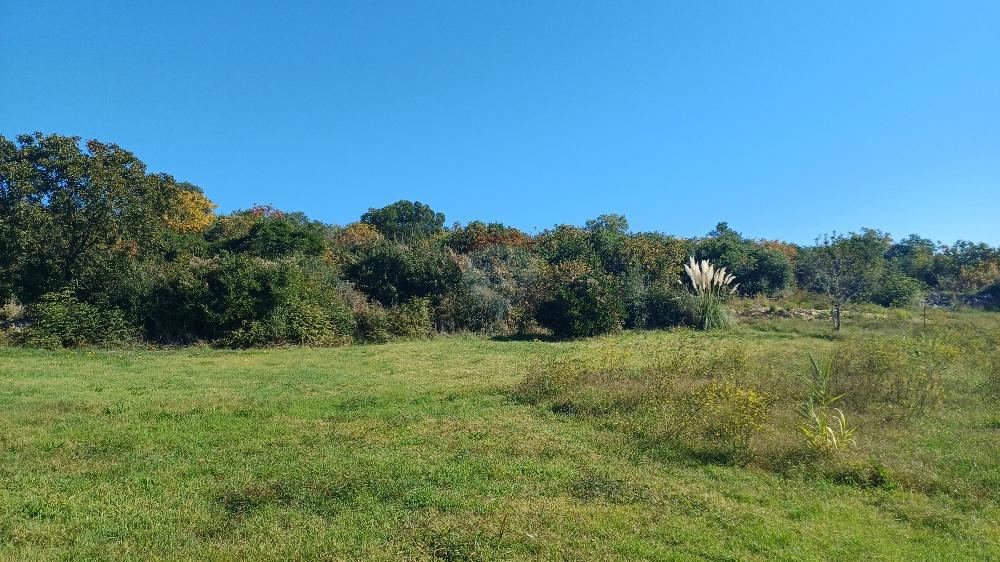 Terreno edificabile Pomer, Medulin, 3.169m2