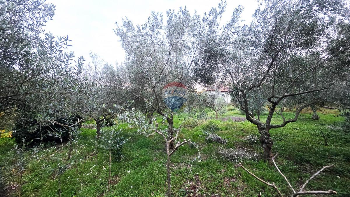 Terreno edificabile Brtonigla, 1.356m2