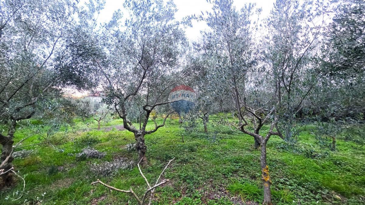 Terreno edificabile Brtonigla, 1.356m2