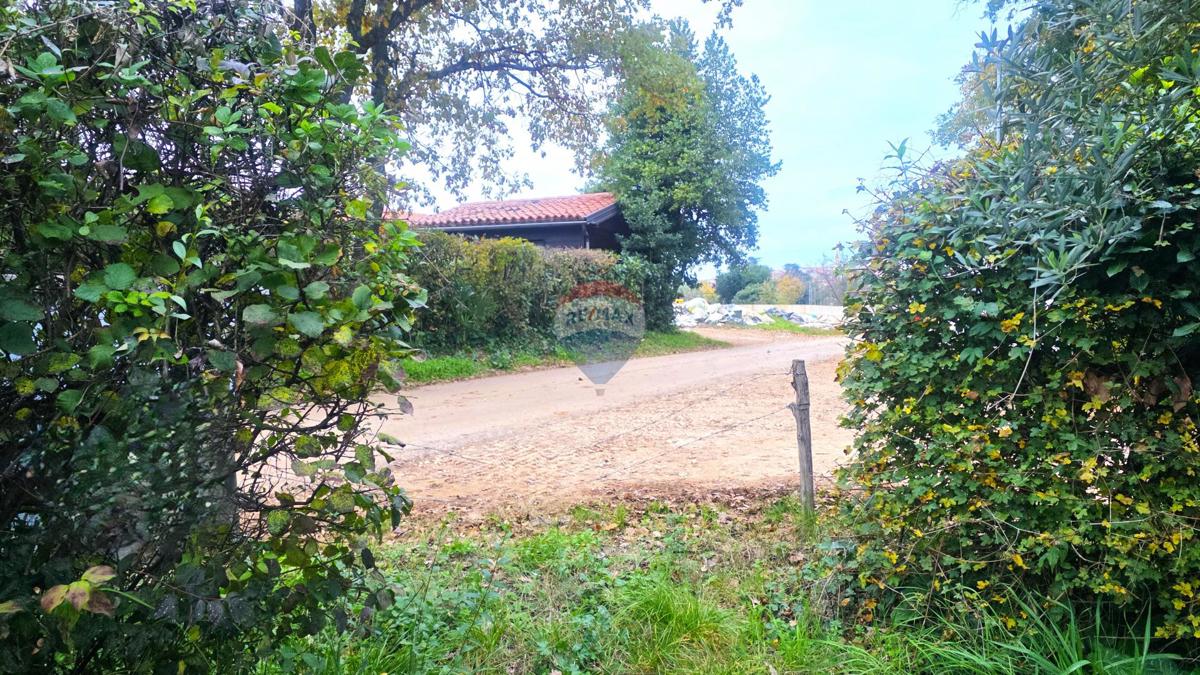 Terreno edificabile Brtonigla, 1.356m2