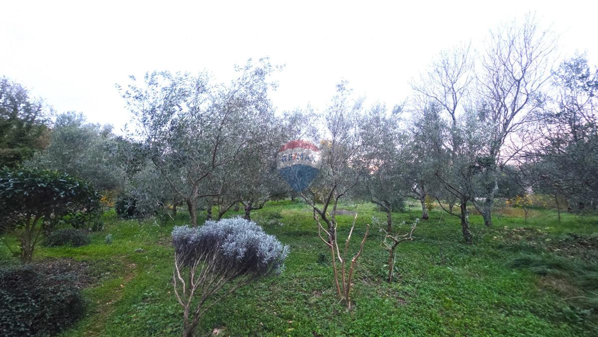 Terreno edificabile Brtonigla, 1.356m2