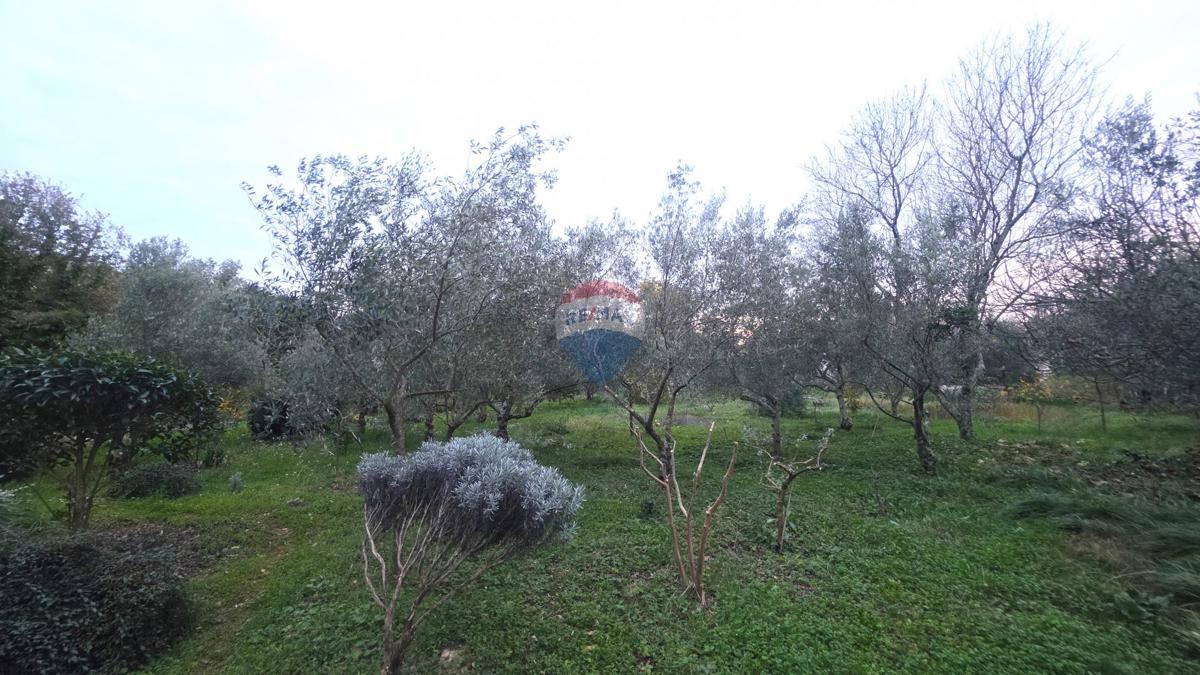 Terreno edificabile Brtonigla, 1.356m2