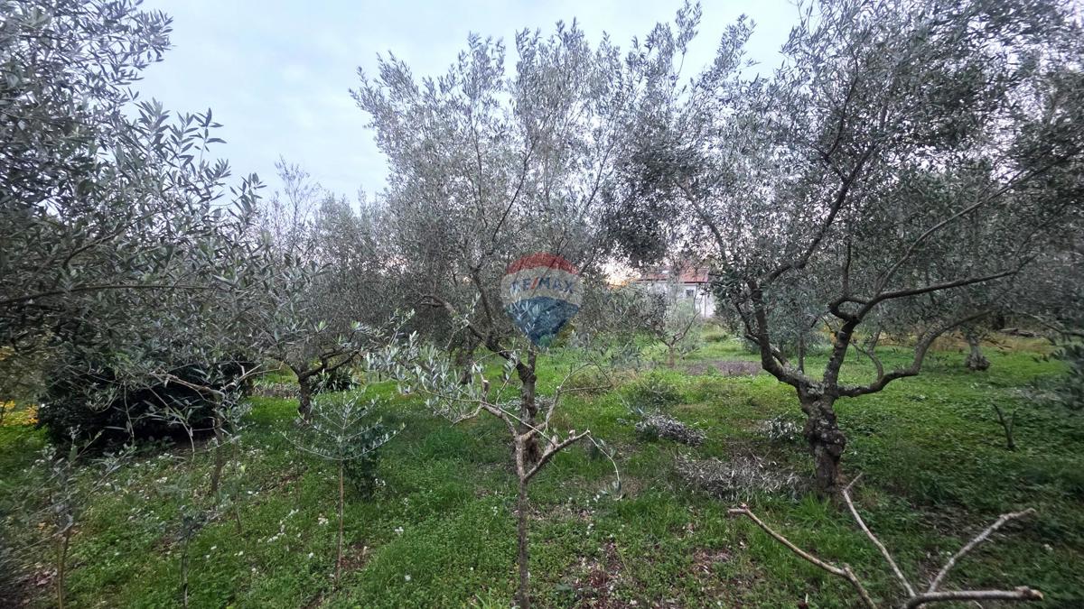 Terreno edificabile Brtonigla, 1.356m2