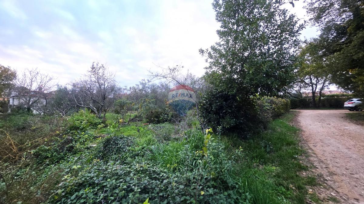 Terreno edificabile Brtonigla, 1.356m2