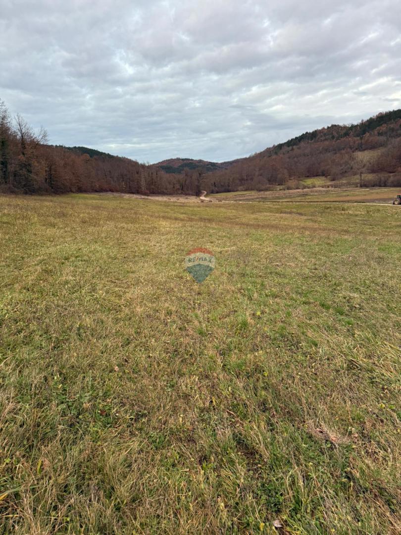 Terreno edificabile Centar, Pazin, 12.860m2