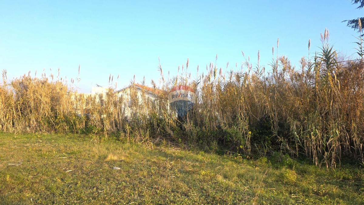 Terreno edificabile Brtonigla, 881m2