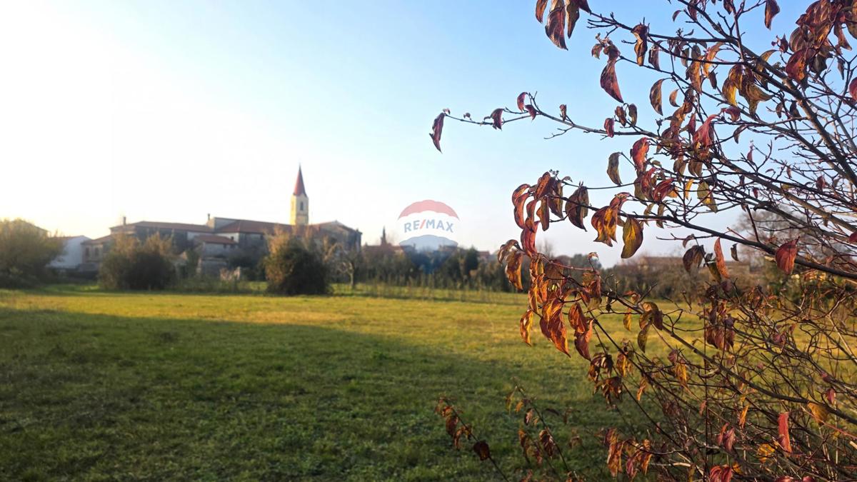 Terreno edificabile Brtonigla, 881m2