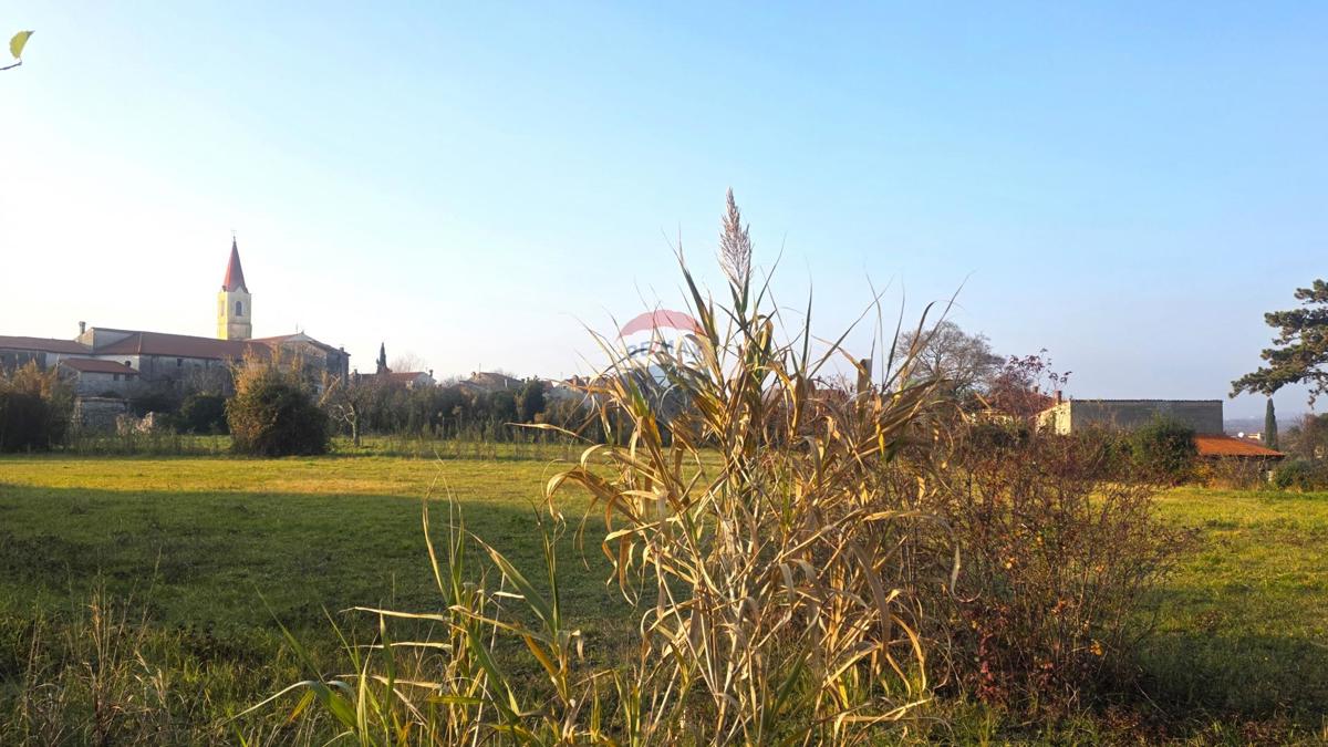 Terreno edificabile Brtonigla, 881m2