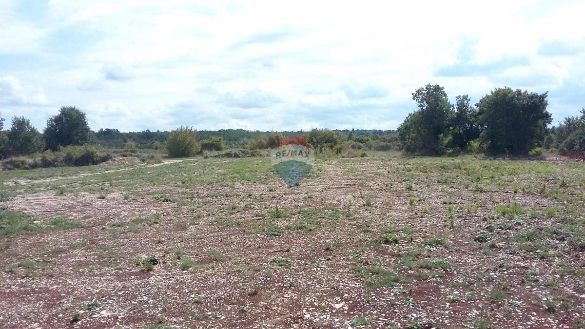 Terreno edificabile Kanfanar, 3.825m2