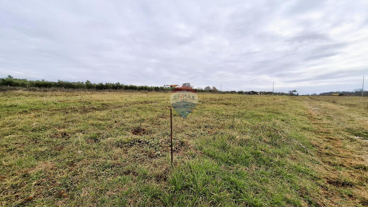 Novigrad, terreno non edificabile, 708 m²