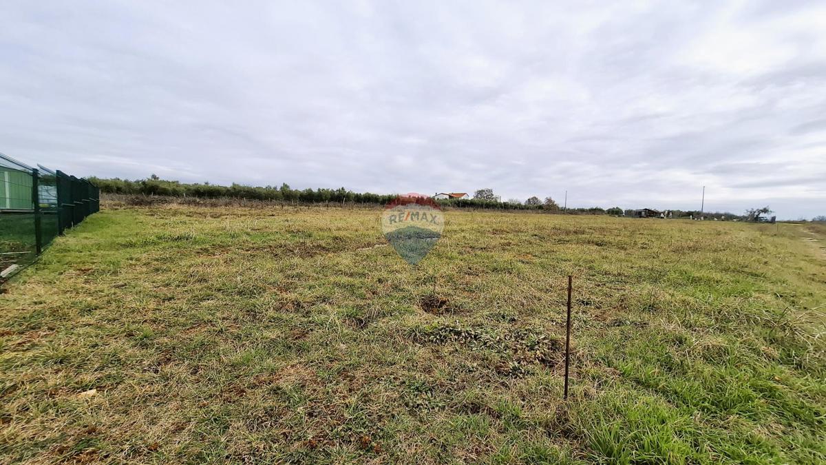 Novigrad, terreno non edificabile, 708 m²