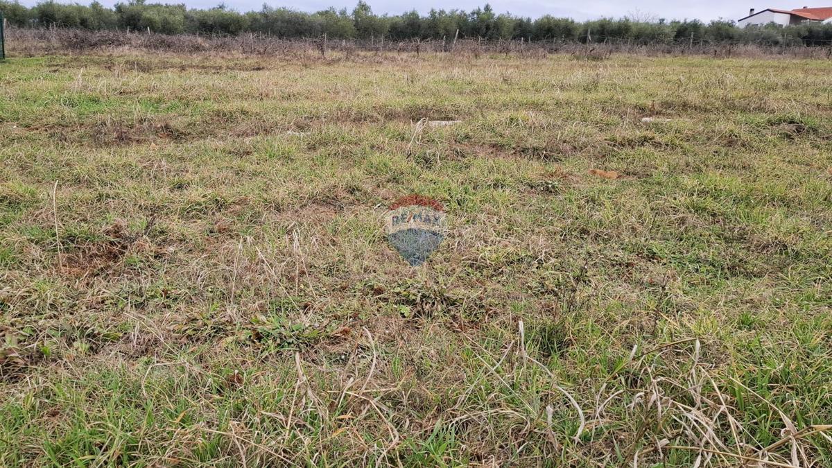 Novigrad, terreno non edificabile, 708 m²