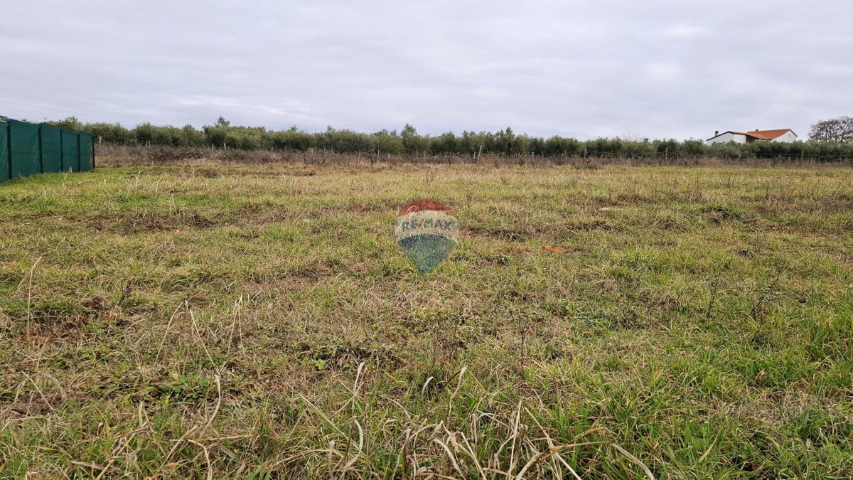 Novigrad, terreno non edificabile, 708 m²