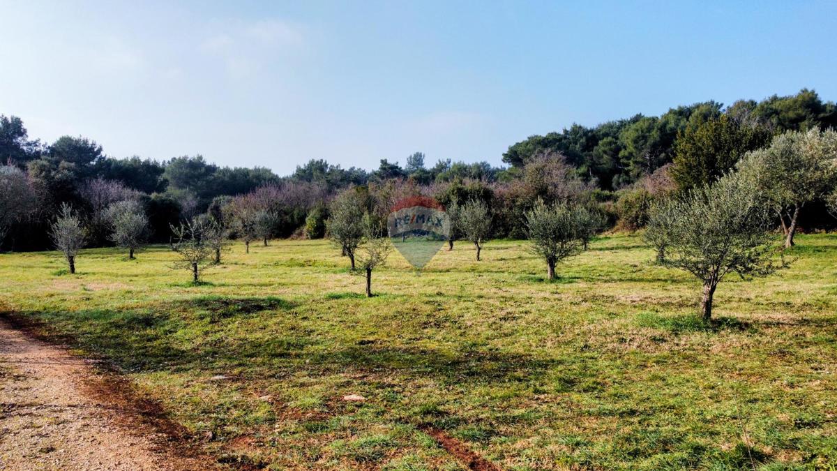 Terreno non edificabile Rovinj, 1.865m2