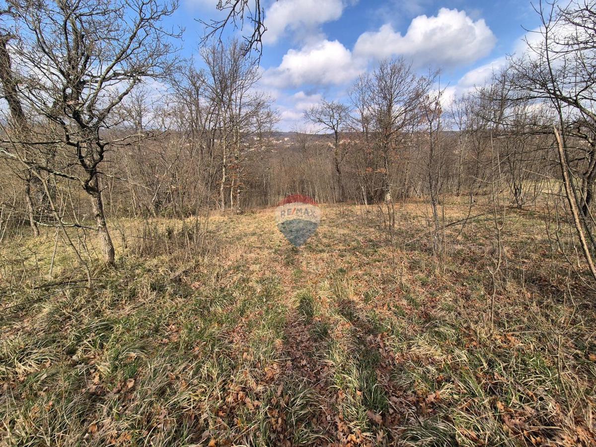 Terreno non edificabile Kastav, 4.362m2