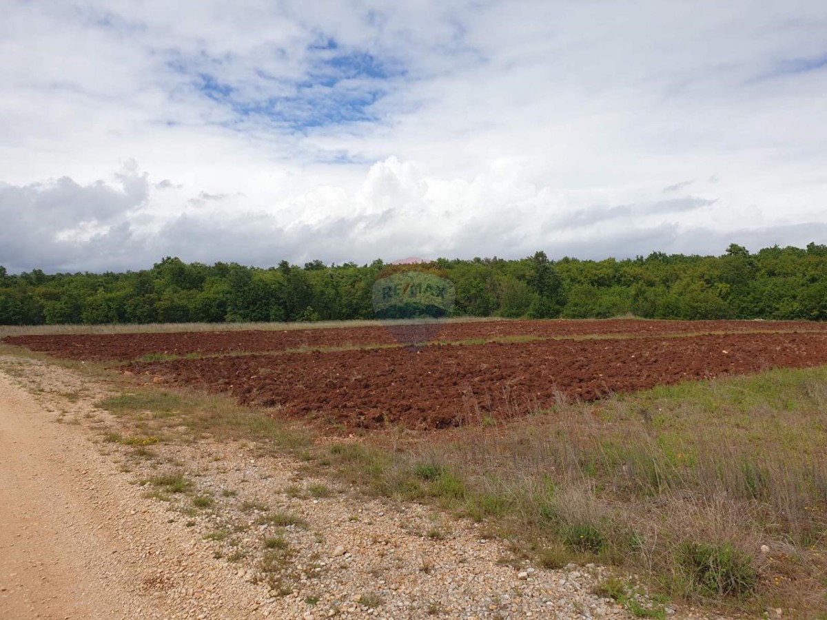 Terreno non edificabile Bačva, Višnjan, 47.489m2