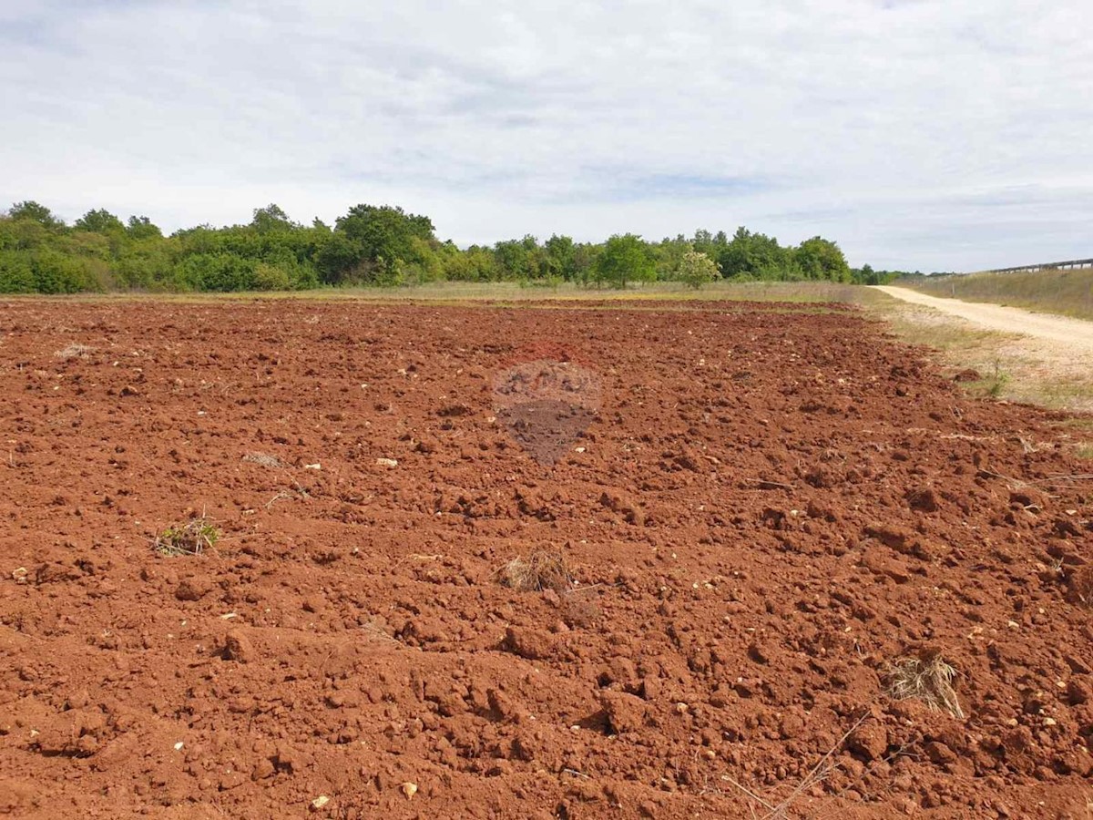 Terreno non edificabile Bačva, Višnjan, 47.489m2