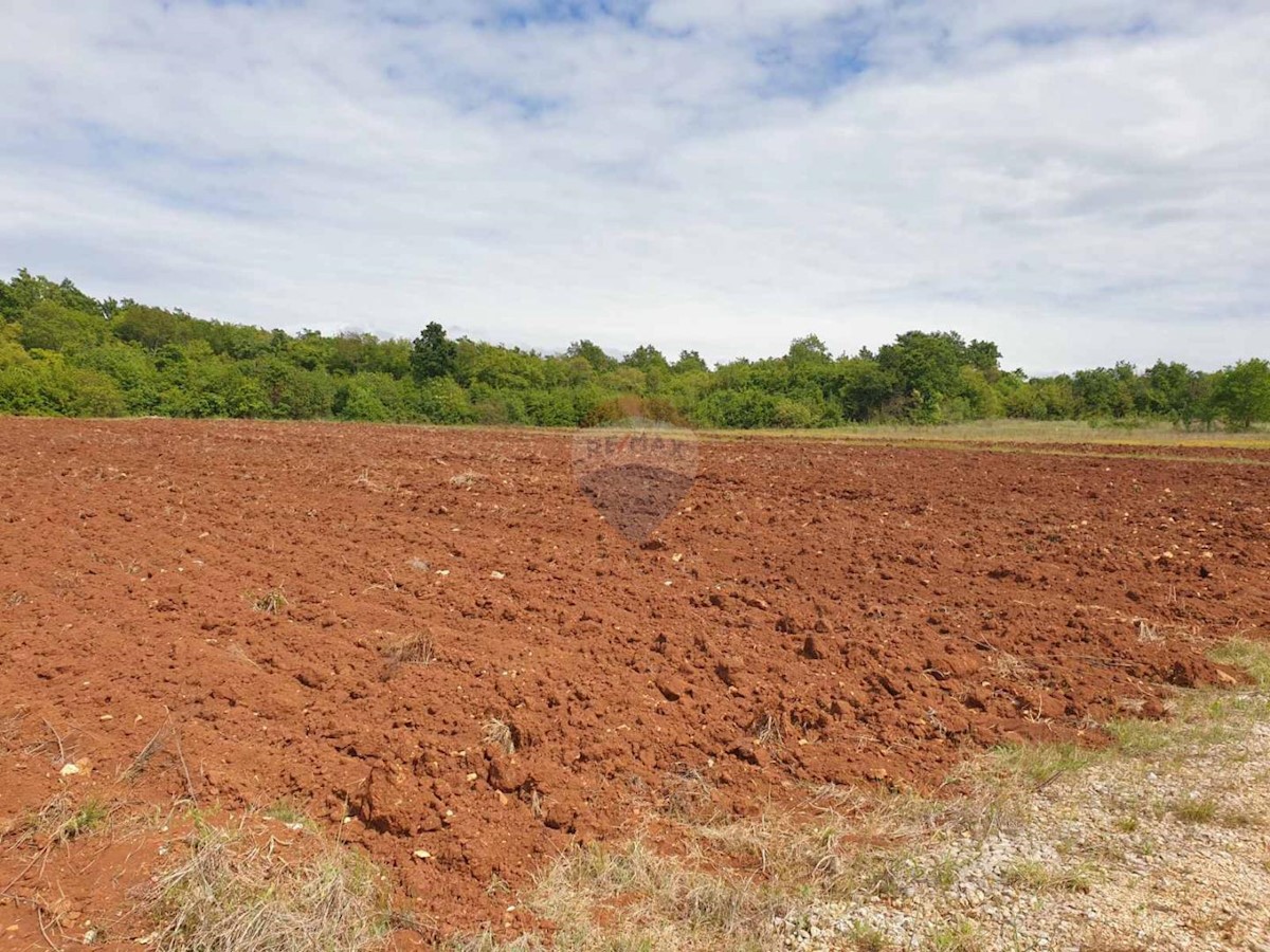 Terreno non edificabile Bačva, Višnjan, 47.489m2