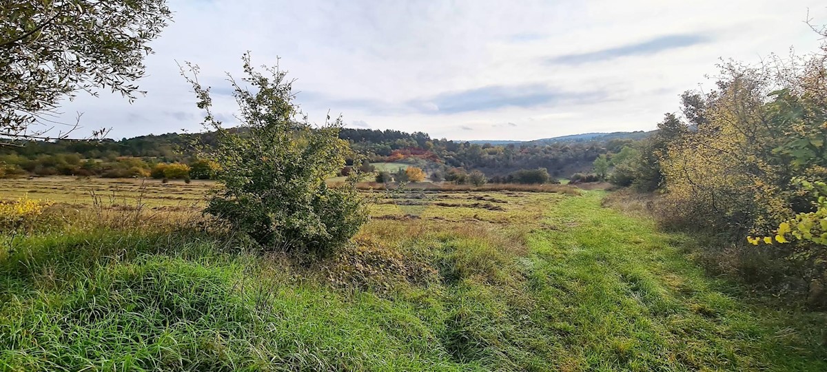 Terreno non edificabile Grožnjan, 9.567m2
