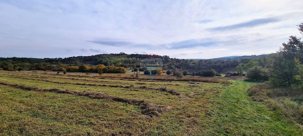 Terreno non edificabile Grožnjan, 9.567m2