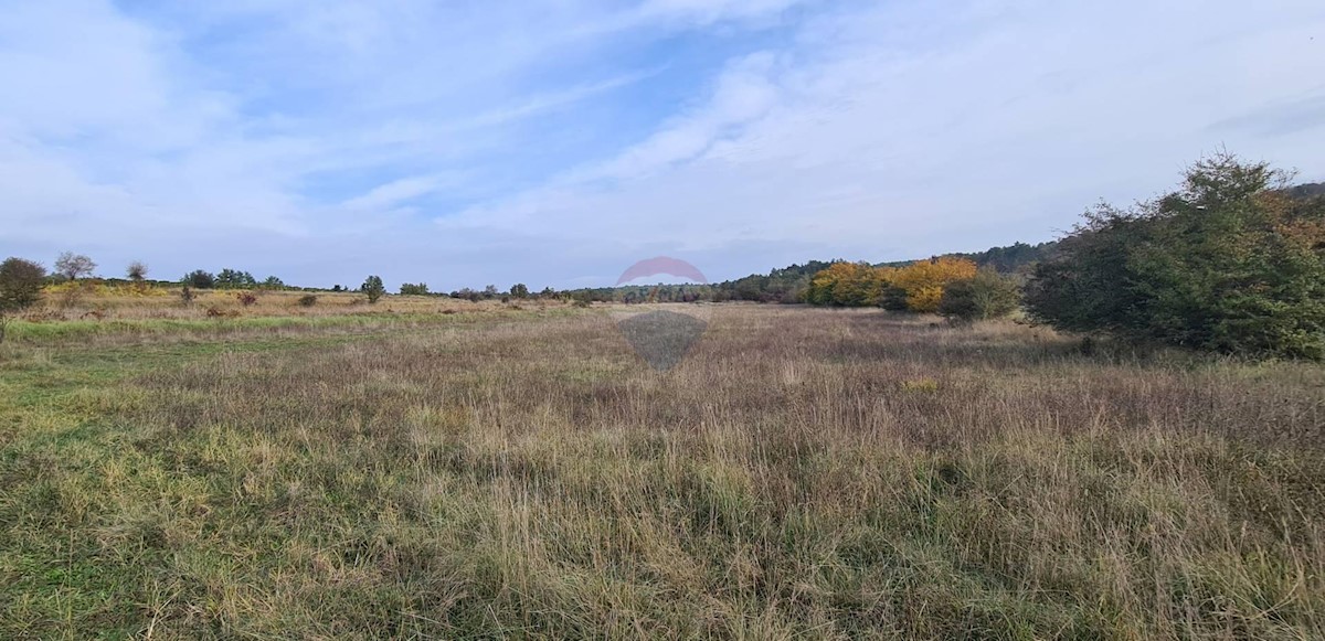 Terreno non edificabile Grožnjan, 9.567m2