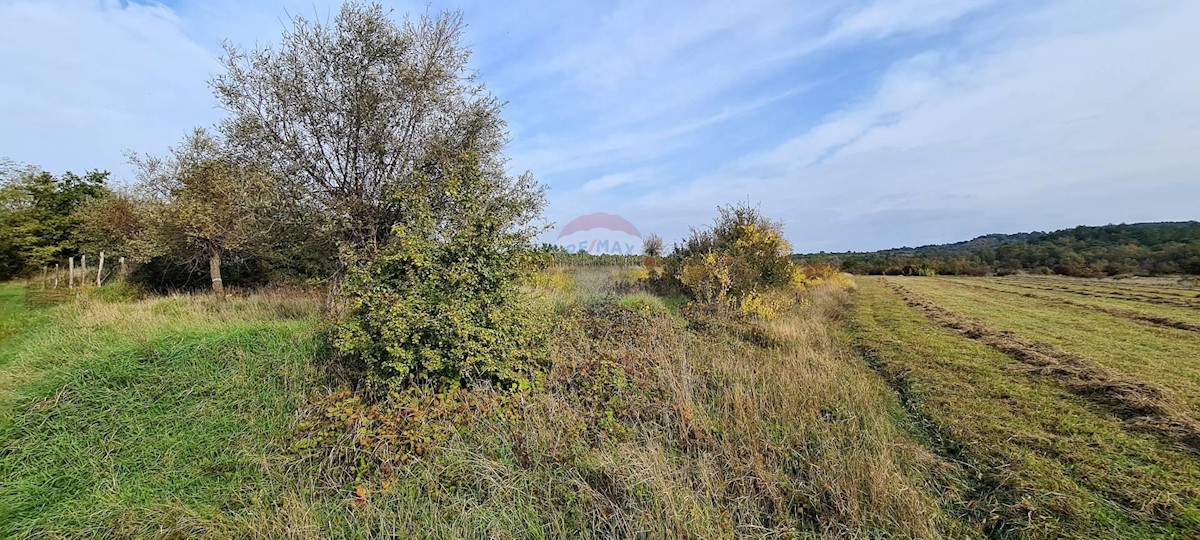 Terreno non edificabile Grožnjan, 9.567m2