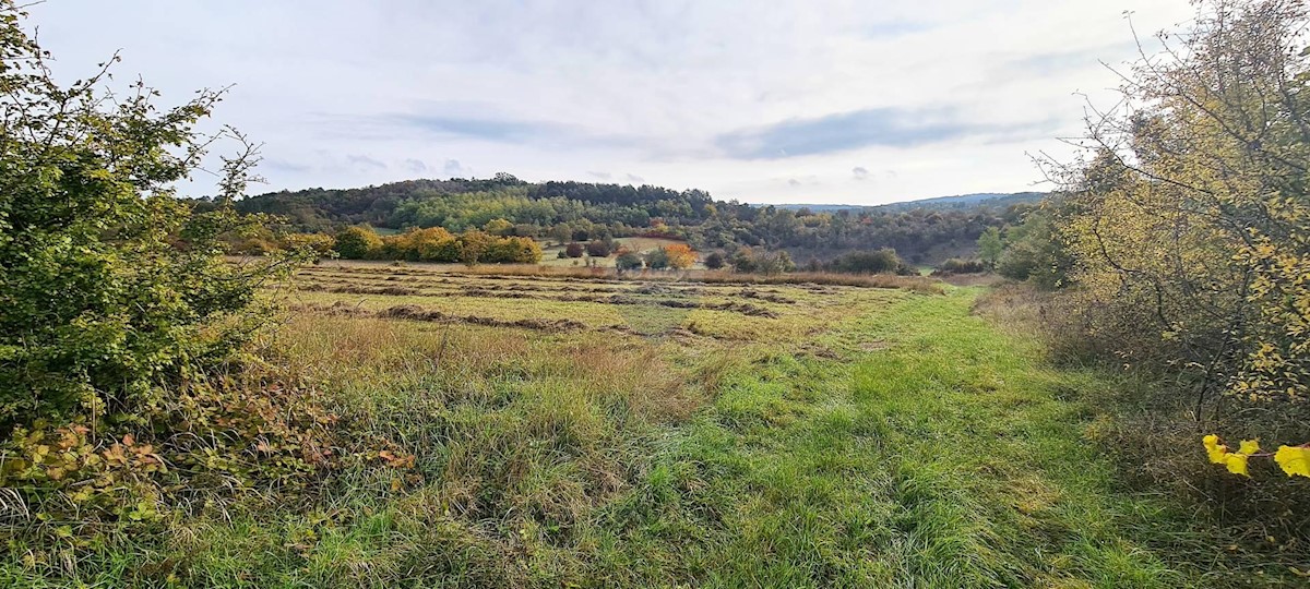Terreno non edificabile Grožnjan, 9.567m2