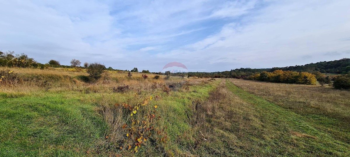 Terreno non edificabile Grožnjan, 9.567m2