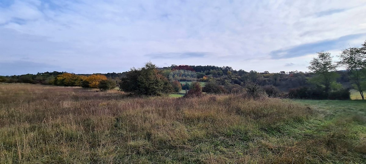 Terreno non edificabile Grožnjan, 9.567m2