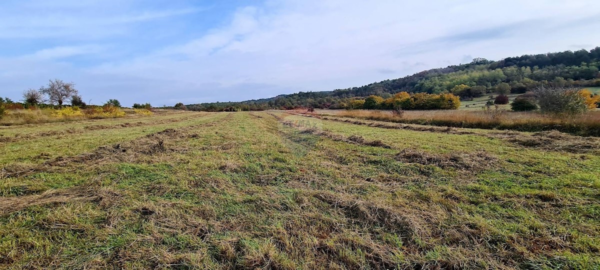 Terreno non edificabile Grožnjan, 9.567m2