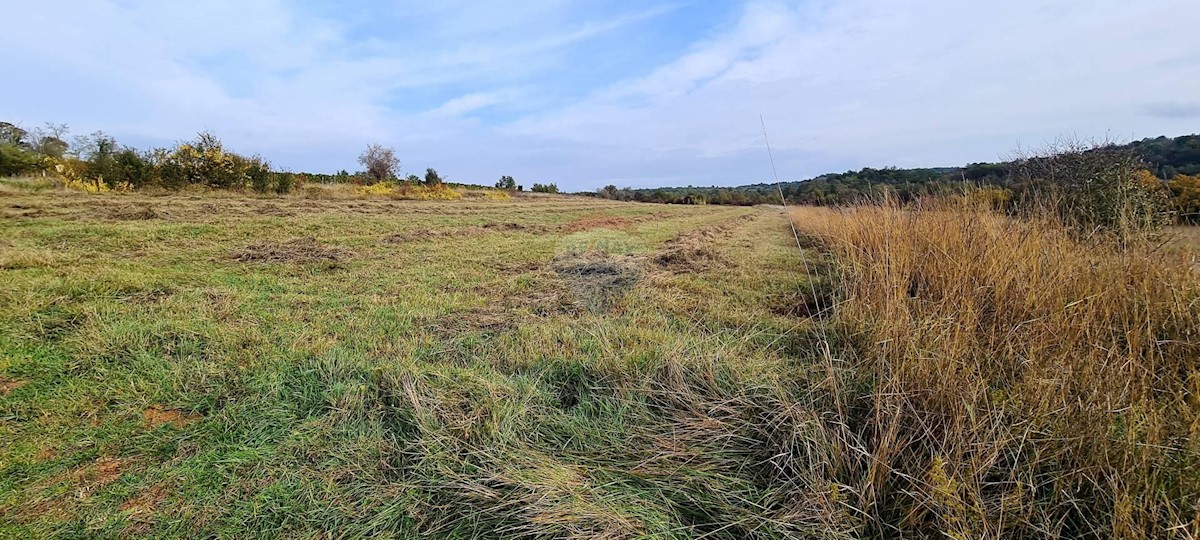 Terreno non edificabile Grožnjan, 9.567m2