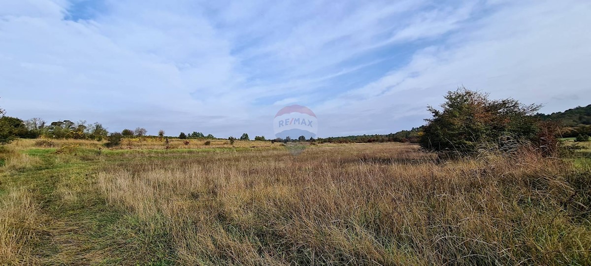 Terreno non edificabile Grožnjan, 9.567m2