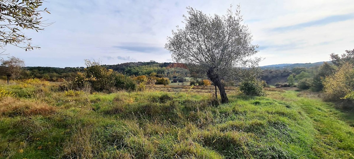Terreno non edificabile Grožnjan, 9.567m2