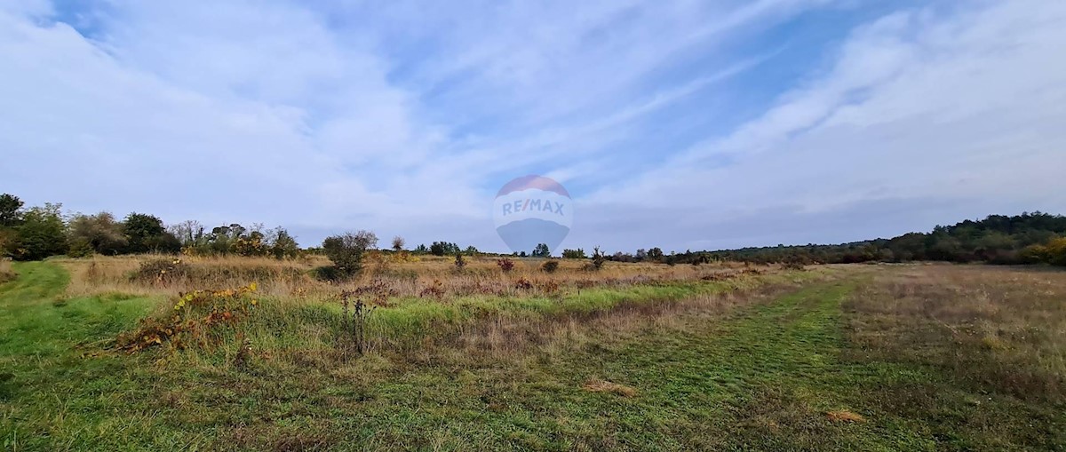 Terreno non edificabile Grožnjan, 9.567m2