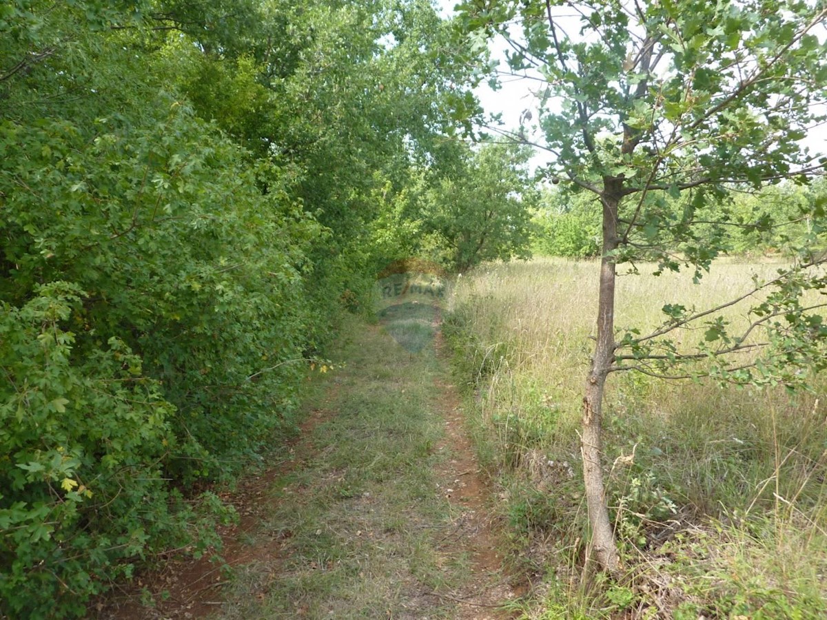 Terreno non edificabile Vržnaveri, Poreč, 17.227m2