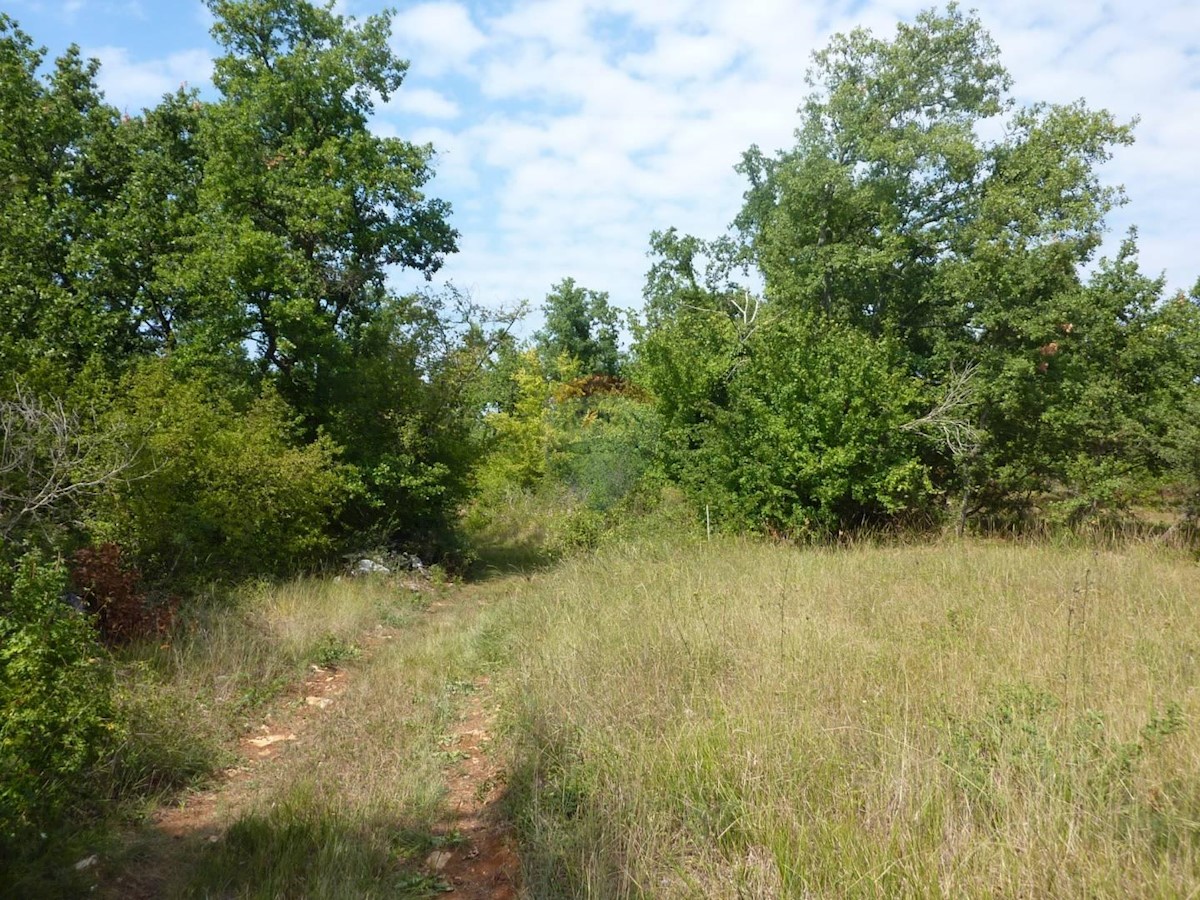 Terreno non edificabile Vržnaveri, Poreč, 17.227m2